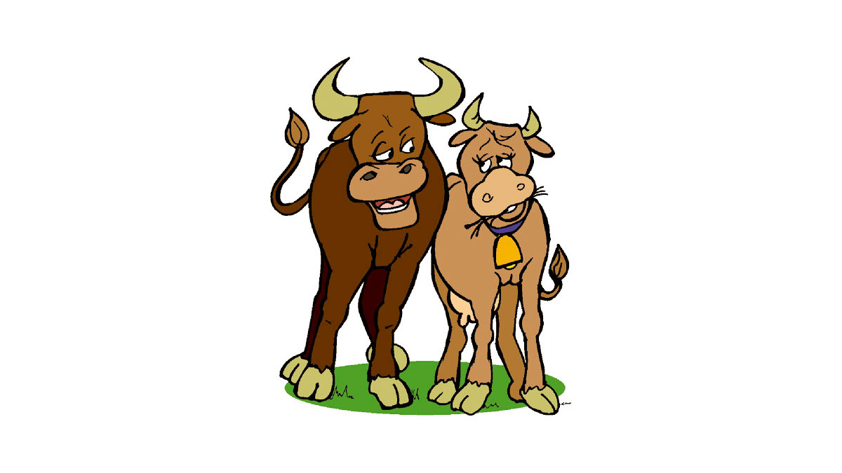 Un bel toro e una bella mucca